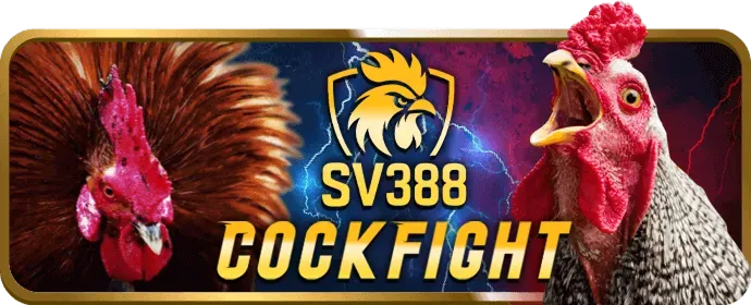Cá cược bóng đá tại 32win